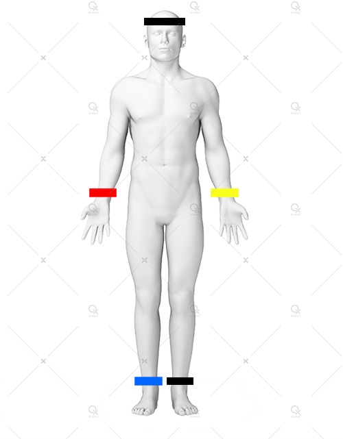 humanharness.png